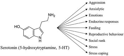 Serotonin Coordinates Responses to Social Stress—What We Can Learn from Fish